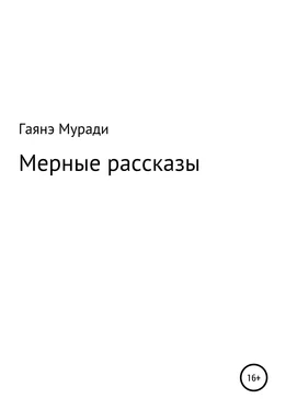 Гаяна Муради Мерные рассказы обложка книги