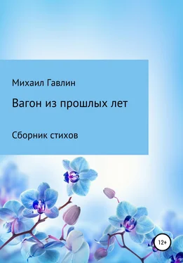 Михаил Гавлин Вагон из прошлых лет. Сборник стихов обложка книги