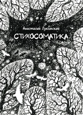 Анастасия Лукомская Стихосоматика обложка книги