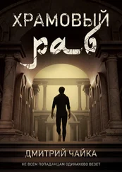 Дмитрий Чайка - Храмовый раб