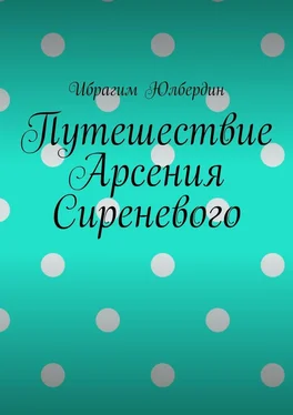 Ибрагим Юлбердин Путешествие Арсения Сиреневого обложка книги