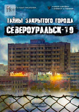 Тимофей Эварделов Тайны закрытого города Североуральск-19 обложка книги