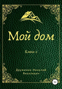 Николай Дружинин Мой дом. Книга 2 обложка книги