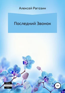 Алексей Рагозин Последний звонок обложка книги