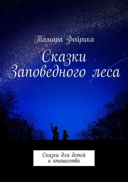 Тамара Фойрика Сказки Заповедного леса. Сказки для детей и юношества обложка книги