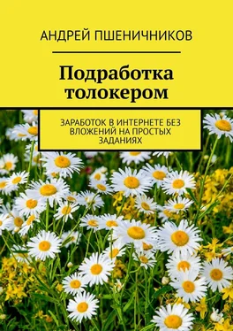 Андрей Пшеничников Подработка толокером. Заработок в интернете без вложений на простых заданиях обложка книги