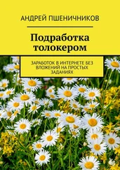 Андрей Пшеничников - Подработка толокером. Заработок в интернете без вложений на простых заданиях