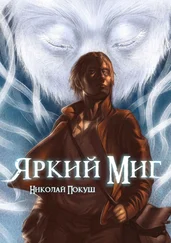Николай Покуш - Яркий Миг