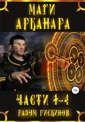 Разум Рискинов - Маги Арканара