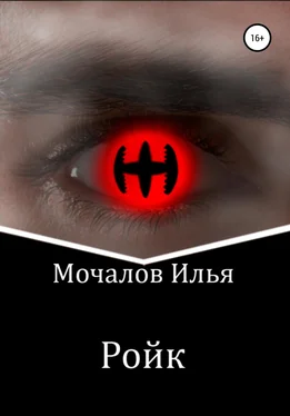 Илья Мочалов Ройк обложка книги