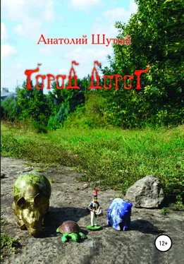 Анатолий Шутый Город Дорог обложка книги