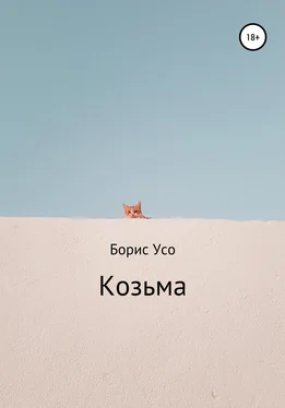 Борис Усо Козьма обложка книги