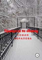 София Коралова - Принцесса по обмену