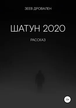 Зеев Дровален Шатун 2020 обложка книги