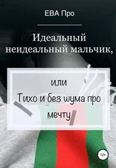 Ева Про - Идеальный неидеальный мальчик, или Тихо и без шума про мечту