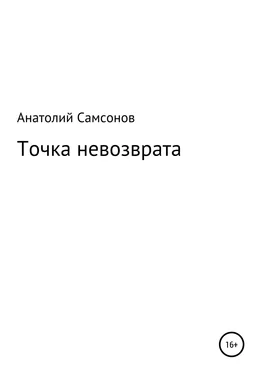 Анатолий Самсонов Точка невозврата обложка книги