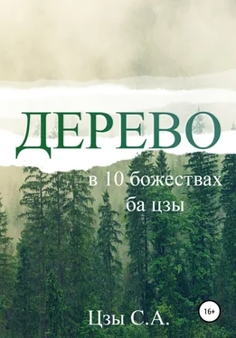 Сергей Цзы Дерево в 10 божествах ба цзы обложка книги