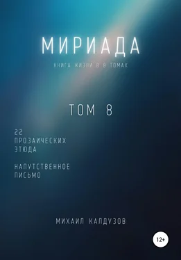 Михаил Калдузов Мириада. Том 8. 22 прозаических этюда обложка книги