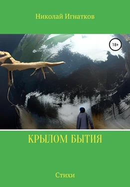 Николай Игнатков Крылом бытия обложка книги