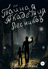 Евгений Лесник - Тайная Академия Лесников