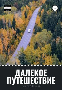 Сергей Жуков Далекое путешествие обложка книги