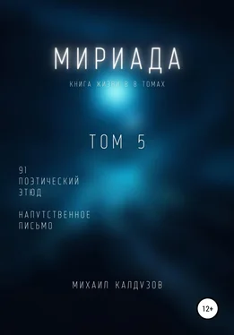 Михаил Калдузов Мириада. Том 5. 91 поэтический этюд обложка книги