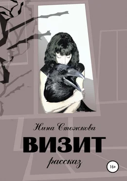 Нина Стожкова Визит обложка книги