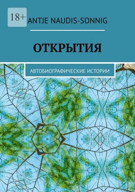 Antje Naudis-Sonnig Открытия. Автобиографические истории обложка книги