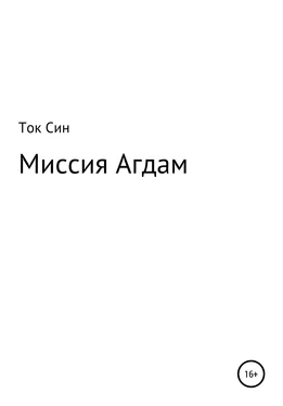 Ток Син Миссия Агдам обложка книги