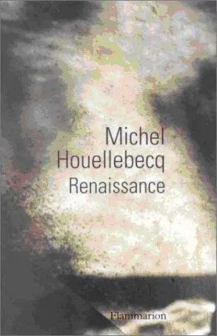 Michel Houellebecq RENAISSANCE I Vu dun compartiment de train Vu dun - фото 1