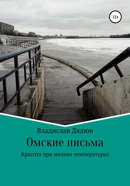 Владислав Дядюн Омские письма обложка книги