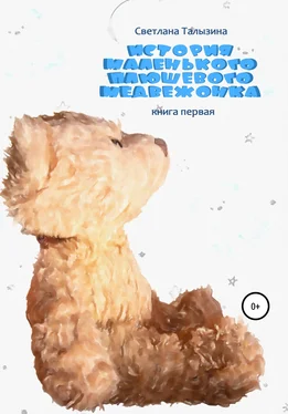 Светлана Талызина История маленького плюшевого медвежонка обложка книги