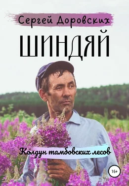 Сергей Доровских Шиндяй. Колдун тамбовских лесов обложка книги