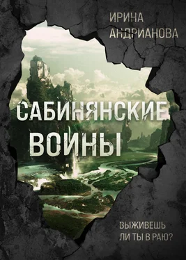 Ирина Андрианова Сабинянские воины обложка книги