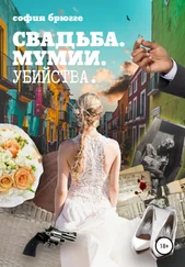София Брюгге - Свадьба, мумии, убийства