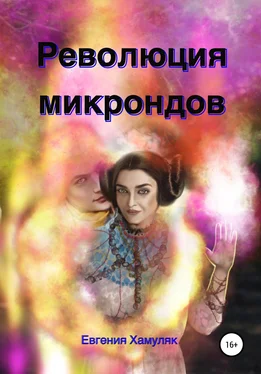 Евгения Хамуляк Революция микрондов обложка книги