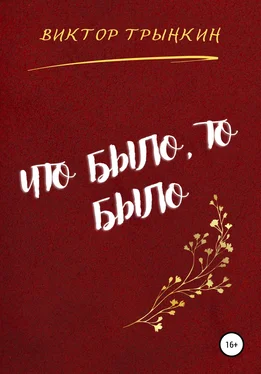 Виктор Трынкин Что было, то было обложка книги