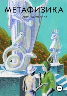 Лалла Жемчужная Метафизика обложка книги