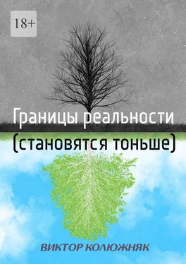 Виктор Колюжняк Границы реальности (становятся тоньше) обложка книги