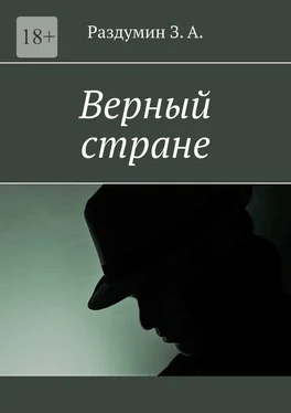 З. Раздумин Верный стране обложка книги