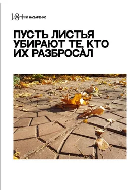 Дмитрий Назаренко Пусть листья убирают те, кто их разбросал обложка книги