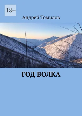 Андрей Томилов Год волка обложка книги