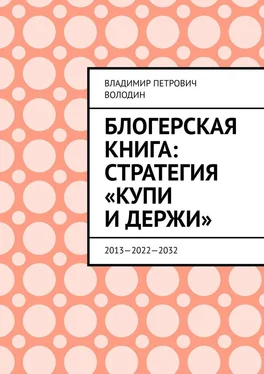 Владимир Володин Блогерская книга: стратегия «купи и держи». 2013—2022—2032 обложка книги