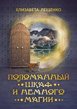 Елизавета Лещенко Поломанный шкаф и немного магии обложка книги