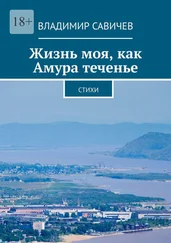 Владимир Савичев - Жизнь моя, как Амура теченье. Стихи