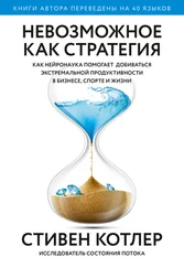 Стивен Котлер - Невозможное как стратегия. Как нейронаука помогает добиваться экстремальной продуктивности в бизнесе, спорте и жизни