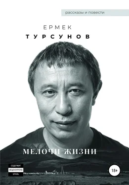 Ермек Турсунов Мелочи жизни обложка книги