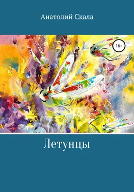 Анатолий Скала Летунцы обложка книги