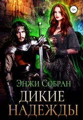 Энжи Собран - Дикие надежды