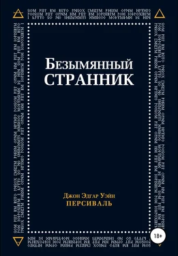 Джон Эдгар Уэйн Персиваль Безымянный странник обложка книги